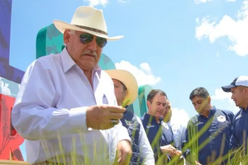 México y EU confían ratificar T-MEC en breve