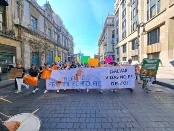 Desalojo del Refugio Franciscano: amparos, presunto interés inmobiliario y protestas tras el traslado de casi mil animales en CDMX