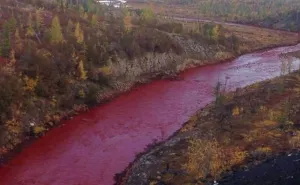 Resuelto el misterio del tono rojo de un río en Rusia