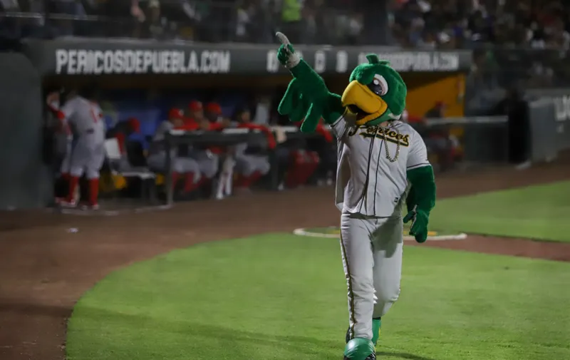 Pericos de Puebla