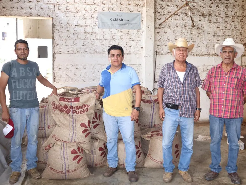 Contribuye SDR a exportación de café a Corea del Sur