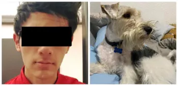 Identifican al hombre que agredió a un perrito en la colonia Narvarte de Ciudad de México