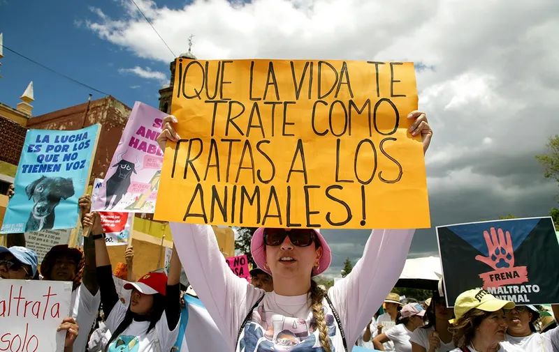 marcha-contra-el-maltrato-animal-puebla