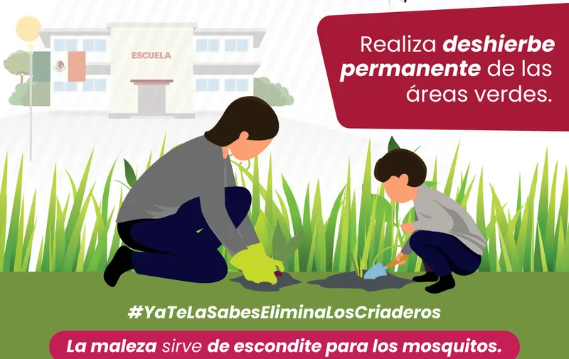 Imagen del artículo