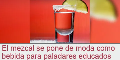 El mezcal se pone de moda como bebida para paladares educados