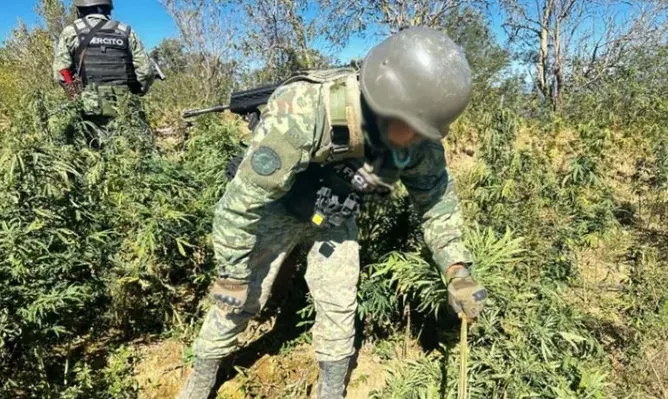 El Gabinete de Seguridad del Gobierno de México informa acciones relevantes del fin de semana