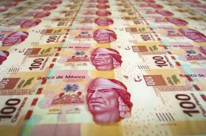 En 2015, pago de deuda externa más alto en 18 años: CEESP