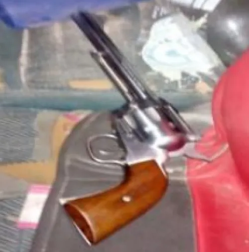 SSP detuvo a banda que intentó robar una granja