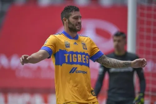 Pumas se enfrentará a Tigres en un intenso duelo de felinos