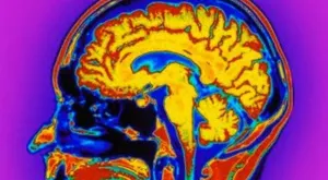 Cerebro humano goza con el dolor y sufrimiento de un enemigo