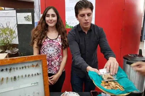 Alumnos de la Universidad Iberoamericana Puebla elaboraron galletas a base de chapulines
