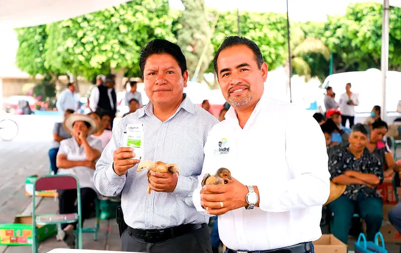 martin-solis-lopez-david-solis-tolima