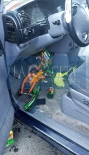 Imagen del artículo