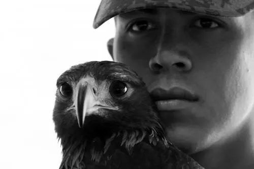 En peligro de extinción el águila real, símbolo de la mexicanidad