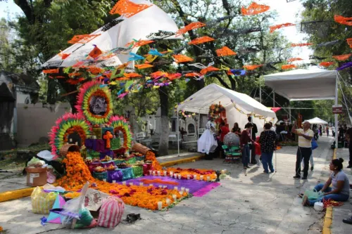 Operativos e información correspondientes a festividades de Día de Muertos 2019