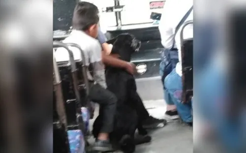 Chofer en Puebla conmueve; deja subir a niños con su perro al camión