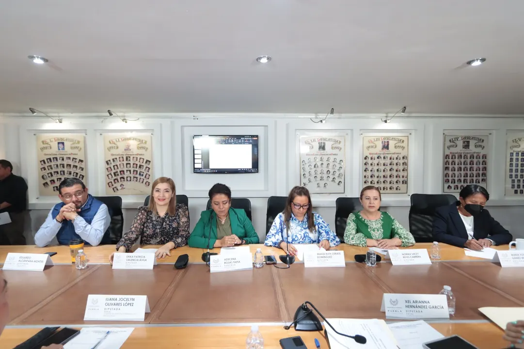 Comisiones Unidas de Salud y de Atención a Personas con Discapacidad