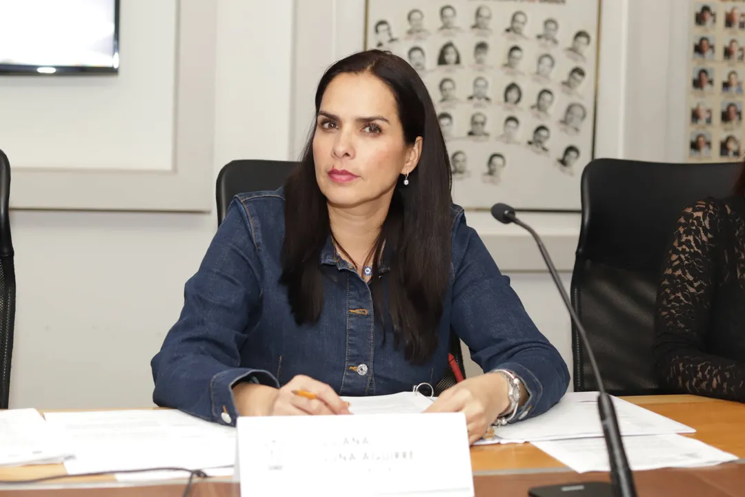 Se gesta en Morena rebelión contra Liliana Luna; apoyarían al candidato del PAN en revancha