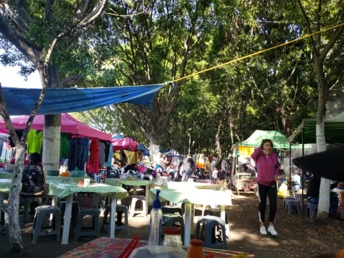 Pese a contingencia, tianguistas de Xonaca instalan puestos