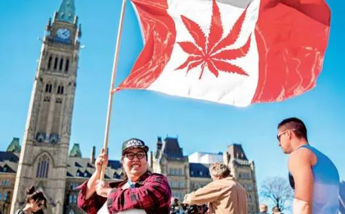 Aprueban legalizar consumo de marihuana en Canadá