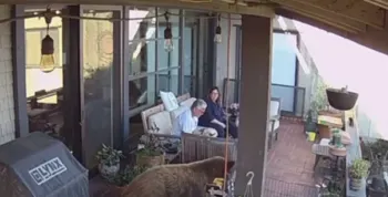 Mujer salva a su perro antes que a su marido contra un oso