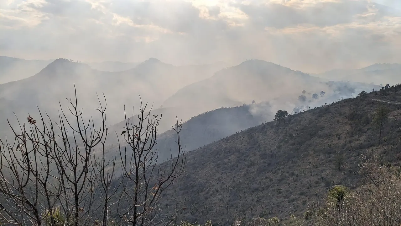 Incendio forestal en Libres: control del 100% y 90% de liquidación