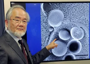 Gana japonés Yoshinori Ohsumi Nobel de Medicina