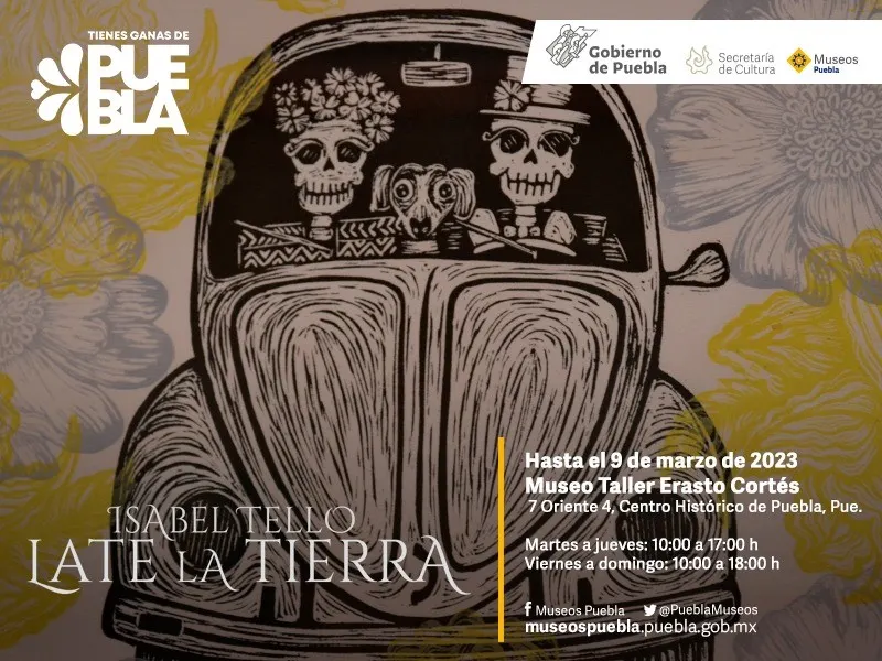 Museo Taller Erasto Cortes