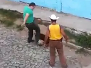 Le echan a perra un Pitbull para que la mate