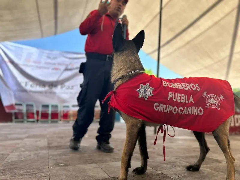 gob-pue-feria-de-paz-chietla