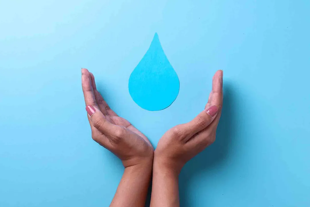 Día Mundial el Agua