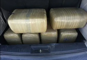 Incautan más de 100 kilos de marihuana en camioneta