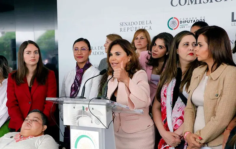 diputadas-pri-apoyo-norma-pina-scjn