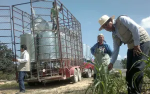 Intensifica SAGARPA apoyos en comunidades con grave carencia alimentaria