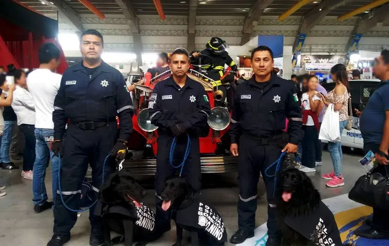 dana-perrita-bomberos