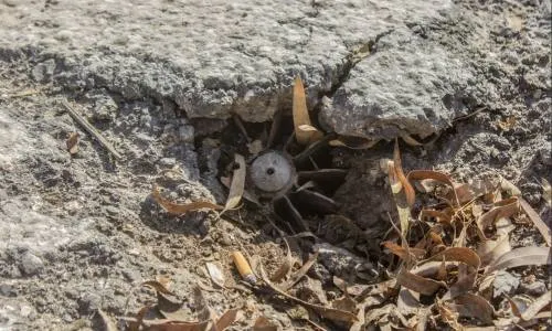 Población siria peligra por bombas y minas abandonadas por el Estado Islámico