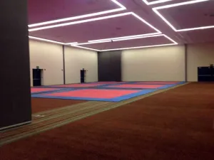 Expectación por arranque del Campeonato Mundial de Taekwondo Puebla 2013