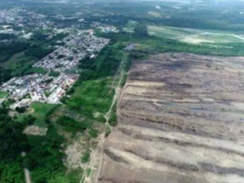 Inicia proceso contra responsables por desmonte de predio de Refinería Dos Bocas