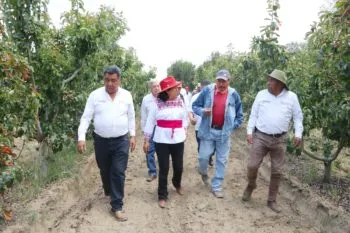 SADR recorre parcelas frutícolas en la zona del Izta-Popo