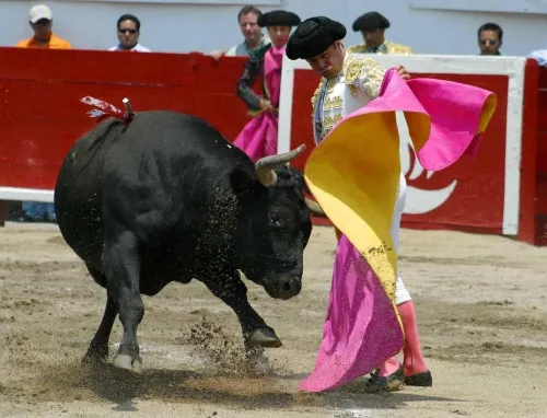 La Unesco excluye la tauromaquia como candidata a Patrimonio Inmaterial Cultural de la Humanidad