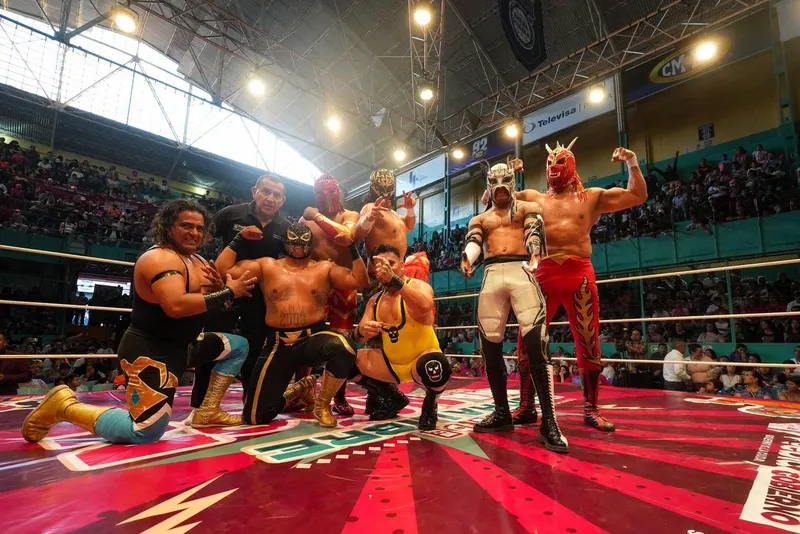 Función de lucha libre