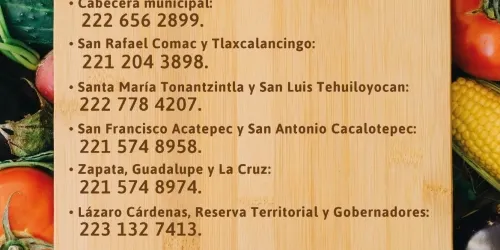 Se abre la segunda convocatoria de Valores a Tu Mesa para apoyar a las familias más necesitadas
