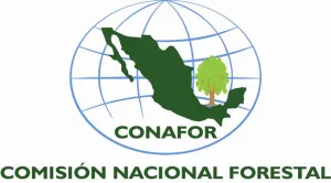 Gobierno mexicano apoya a Brasil en desarrollo de su política nacional de manejo del fuego