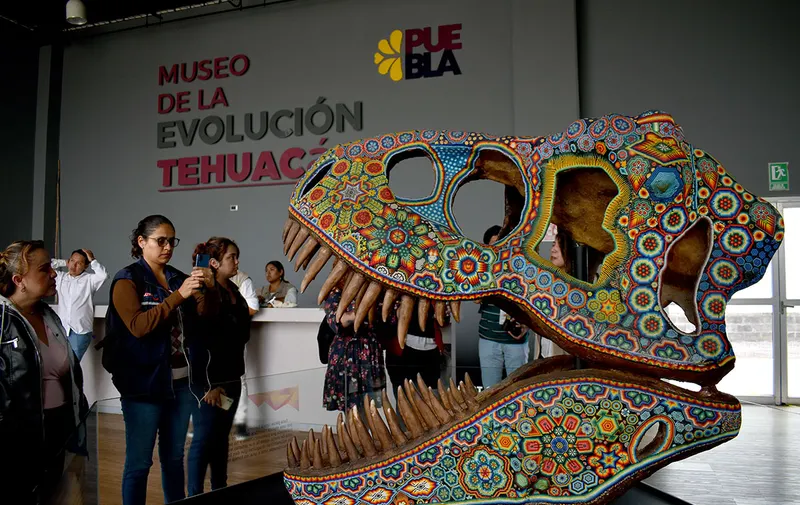 museo-de-la-evolucion-tehuacan