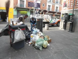 OOSL recolectará pinos navideños