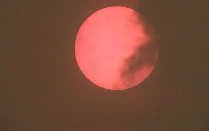 Imagen del artículo