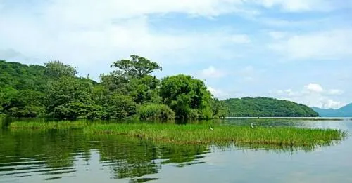 Conanp y Google lanzan nuevas imágenes de áreas naturales mexicanas en Street View