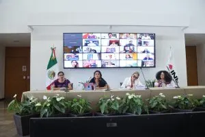 Recibe INE propuesta para la reforma electoral de mujeres afromexicanas