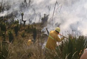 Exhorta gobierno de Puebla evitar uso del fuego en actividades agropecuarias