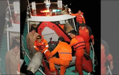 Se hunde ferry en Indonesia con 80 personas a bordo